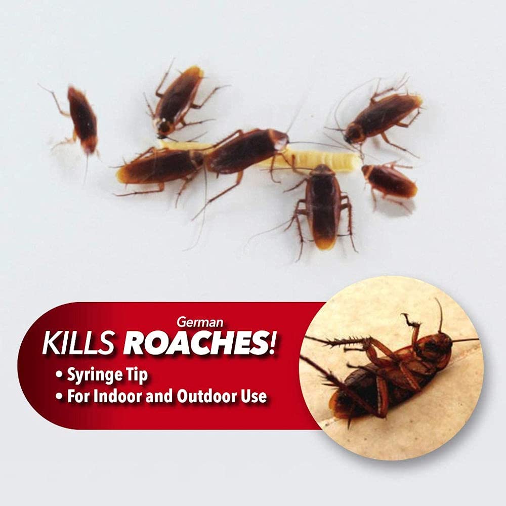 5g Cockroach Gel Bait Ant Injection Type Killer