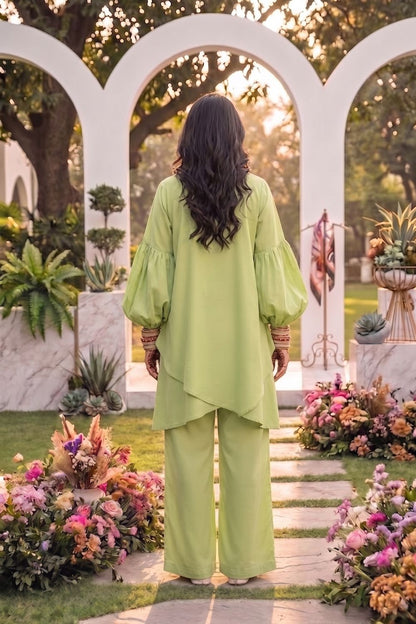 2Pcs Plain Unstitched Soft Cotton Suit Desgin - 5