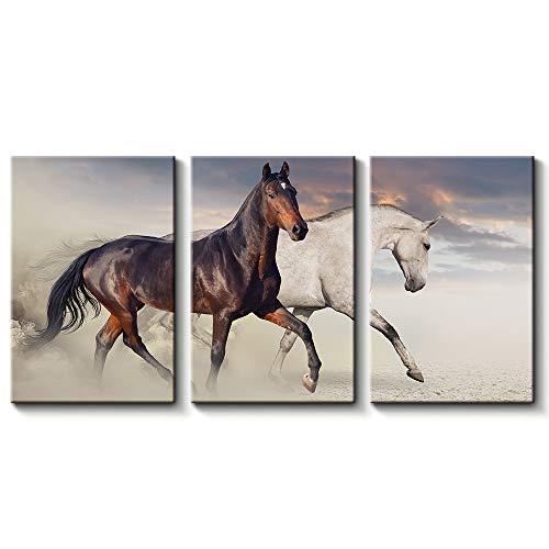 3 Pc Black & White Horse Wall Décor Photo Tiles | Low Quality
