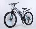 Silver Spoke Mountain Bicycle